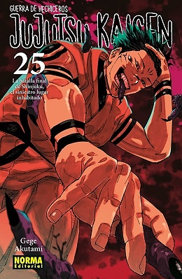 JUJUTSU KAISEN 25 